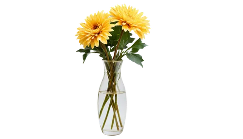 yellow gerbera,flowers png,yellow rose background,artificial flower,yellow calendula flower,yellow chrysanthemum,calenduleae,sunflowers in vase,artificial flowers,yellow flower,yellow chrysanthemums,sunflower lace background,calendula,calendula officinalis,calendula flower,gold flower,gerbera flower,helianthus,xerochrysum bracteatumm,gerbera,Illustration,Realistic Fantasy,Realistic Fantasy 34