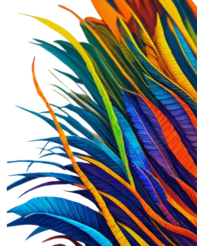 parrot feathers,color feathers,peacock feathers,peacock feather,bird of paradise,colorful birds,feather headdress,plumes,birds of paradise,feathers,feather,feathers bird,flower bird of paradise,beak feathers,bird of paradise flower,plumas,plumage,bird feather,hawk feather,feather jewelry,Illustration,American Style,American Style 02