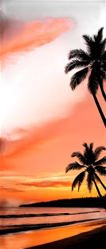 palm tree silhouette,sunset beach,tropical beach,tropical house,barotropic,pink beach,tropic,tropicale,palm tree,tropical sea,coast sunset,dream beach,palm,tropics,tropicalia,palm silhouettes,palms,cabarete,hawai,paradises,Illustration,Black and White,Black and White 04