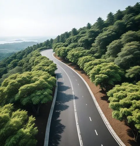 a curvey road leads through the green mountain,forest road,mountain road,mountain highway,open road,highway,carretera