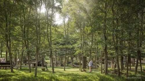 丛林，树林，人群，公园，游乐设施，高质量，细节,bamboo forest,happy children playing in the forest,forest background,green forest,forest path,chestnut forest,forest workplace,forest landscape,forest ground,forest workers,far