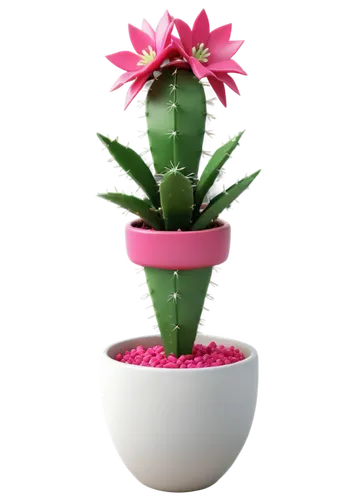 kawaii cactus,night-blooming cactus,large-flowered cactus,san pedro cactus,terracotta flower pot,cactus,hedgehog cactus,crenate orchid cactus,flowerpot,flower pot,moonlight cactus,potted plant,flower pot holder,cactus flower,pitaya,polka plant,cactus digital background,plant pot,cactus rose,succulent plant,Unique,3D,3D Character