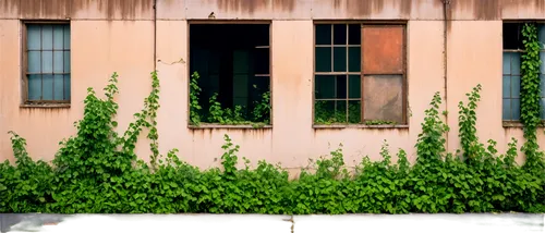 row of windows,wooden windows,old windows,window frames,clapboards,windowpanes,french windows,windowing,wooden shutters,shutters,window with shutters,wood window,windowsills,window panes,windows,bannack,shuttered,siding,fenestration,slat window,Art,Artistic Painting,Artistic Painting 26