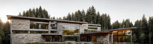 modern hospital elevation ,timber house,american aspen,aspen,modern house,modern architecture,eco-construction,eco hotel,residential,dunes house,house in the forest,house in the mountains,house in mou