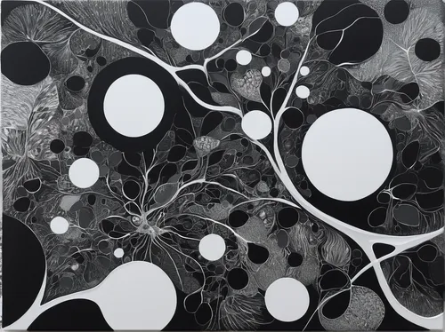 'In Black and White', Abstract Black and White Contemporary Acrylic Painting,neurons,neural pathways,axons,synapse,nerve cell,tangle,cell division,nucleus,macrocystis,spores,cells,nucleoid,spheres,cel