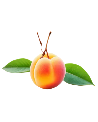 Peach fruit, solo, ripe, juicy, sweet, yellow skin, soft fuzz, green leaves, stem attached, slight shine, morning dew, warm sunlight, shallow depth of field, 3/4 composition, close-up shot, macro phot