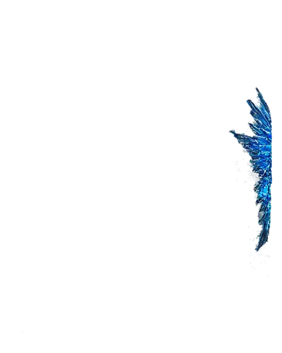 feather on water,butterfly swimming,skydiver,freediver,diving bird,a flying dolphin in air,seaspray,plongeon,jetfoil,backscatter,dive,skydive,water display,freefall,jet and free and edited,wingsuit,underwater background,diver,underwater,dolphin swimming,Illustration,Retro,Retro 26