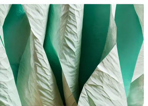 cabbage leaves,swiss chard,sea beet,chinese cabbage,tropical leaf pattern,tropical leaf,palm leaf,pak-choi,green folded paper,celtuce,leaf vegetable,endive,cleanup,coconut leaf,romaine,japanese spinach,tobacco leaves,chinese cabbage young,jungle drum leaves,leaf ribs,Art,Artistic Painting,Artistic Painting 49