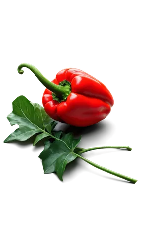 flowers png,red bell pepper,rose png,flower background,red bell peppers,red pepper,red chili pepper,red peppers,bellpepper,tulip background,flower wallpaper,capsaicin,ornamental peppers,red flower,valentine flower,red chili,bell pepper,green paprika,flower of passion,sweet peppers,Illustration,Children,Children 03