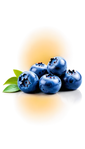 blueberries,bilberry,blue eggs,berry fruit,blue grapes,johannsi berries,soapberry family,blueberry,dewberry,pome fruit family,kumquats,celery and lotus seeds,blueberry muffins,myosotis,berries,tieguanyin,bayberry,accessory fruit,jewish cherries,loquat,Art,Artistic Painting,Artistic Painting 45