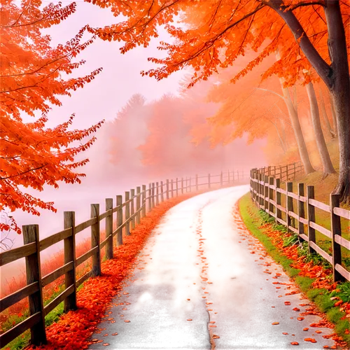 autumn scenery,autumn background,autumn landscape,fall landscape,autumn fog,autumn morning,autumn walk,autumn day,autumn frame,one autumn afternoon,autumn forest,autumn,autumn idyll,landscape background,the autumn,foggy landscape,just autumn,late autumn,autumn season,in the autumn,Illustration,Japanese style,Japanese Style 19