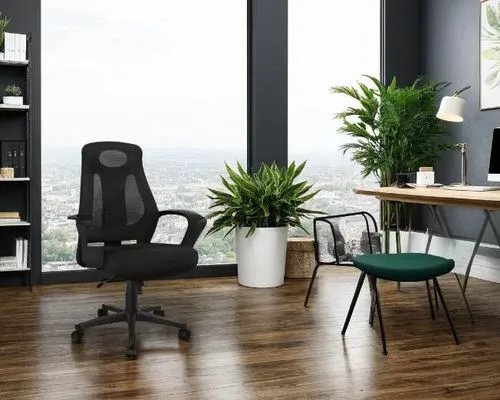 crée une photo d'ambiance avec ce siège en haut PJ  dans un  bureau professionnel (ne changez pas la photo svp). Ajoutez des accessoires comme une table, un ordinateur et une plante verte ,a living ro