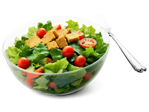 cut salad,side salad,salad,green salad,spinach salad,salad plate,mixed salad,israeli salad,chinese chicken salad,salads,greek salad,fattoush,salad garnish,saladitos,cobb salad,vegetable salad,caesar salad,farmer's salad,tuna salad,salad platter,Illustration,Paper based,Paper Based 10