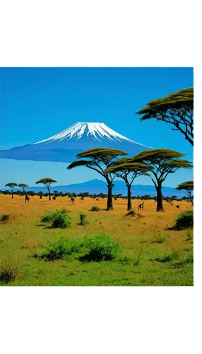 mount kilimanjaro,kilimanjaro,east africa,marsabit,volcanic landscape,afrique,somalia,amboseli,kajiado,tsavo,laikipia,sidama,oromia,onlf,moyale,taveta,adansonia,serengeti,arid landscape,minavand,Art,Artistic Painting,Artistic Painting 22