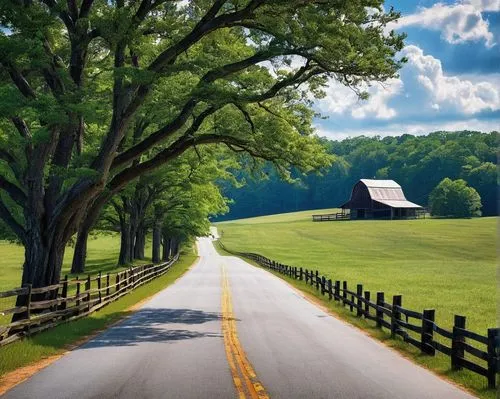 country road,tree lined lane,fork road,mountain road,rural landscape,forest road,maple road,backroads,winding road,winding roads,long road,backroad,appalachian,dirt road,vineyard road,the road,landscape background,roads,stone wall road,road,Photography,Fashion Photography,Fashion Photography 08