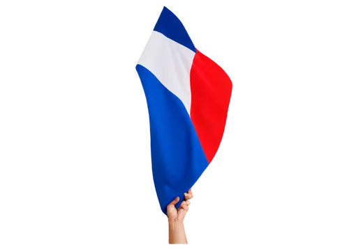 French flag, waving, vertical, tricolor, blue white red, soft fabric, gentle folds, transparent background, center composition, natural light, vibrant colors.,someone's hand with a flag that has been 