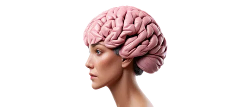 cerebrum,brain icon,human head,human brain,brain,artificial hair integrations,cognitive psychology,brain structure,brainy,isolated product image,head woman,neurath,3d model,management of hair loss,mind-body,acetylcholine,the head of the,bicycle helmet,body-mind,articulated manikin,Art,Classical Oil Painting,Classical Oil Painting 34