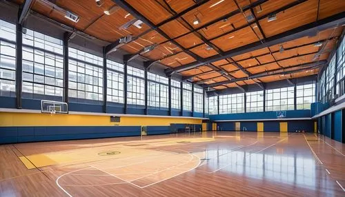 basketball court,gymnasiums,realgymnasium,homecourt,fieldhouse,gymnasium,ballcourt,sportsplex,halfcourt,centercourt,the court,hardwood,nepsac,on top of the field house,underlayment,fitness facility,ballcourts,delasalle,canisius,shorecrest,Illustration,Vector,Vector 03