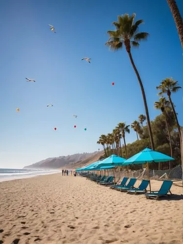 umbrella beach,summer beach umbrellas,santa barbara,zihuatanejo,canary islands,mazatlan,mzt,waikiki beach,tenerife,baja california sur,manzanillo,maspalomas,beautiful beach,santa monica,ixtapa,laguna beach,acapulco,beautiful beaches,beach umbrella,beach chairs,Conceptual Art,Sci-Fi,Sci-Fi 25