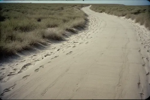 sand road,sand paths,dunes national park,sand dunes,high-dune,the sand dunes,tracks in the sand,sand dune,amrum,moving dunes,dunes,road cover in sand,dirt road,san dunes,shifting dune,crescent dunes,admer dune,shifting dunes,vanishing point,sand hill,Photography,Documentary Photography,Documentary Photography 02