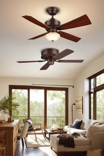 Ceiling fan direction for summer winter ylighting blog 1 of 1 aloadofball Choice Image,ceiling-fan,ceiling fan,decorative fan,mechanical fan,electric fan,thunberg's fan maple,exhaust fan,fan leaf,colo