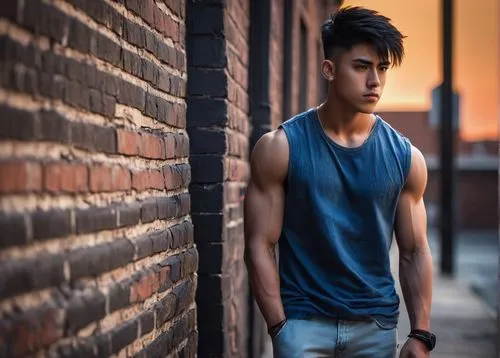 sleeveless shirt,kai yang,male model,boy model,tan chen chen,jeans background,janome chow,tao,arms,denim background,brick wall background,handsome model,brick background,young model istanbul,korean won,alleyway,red brick wall,yun niang fresh in mind,young model,vest,Art,Classical Oil Painting,Classical Oil Painting 23