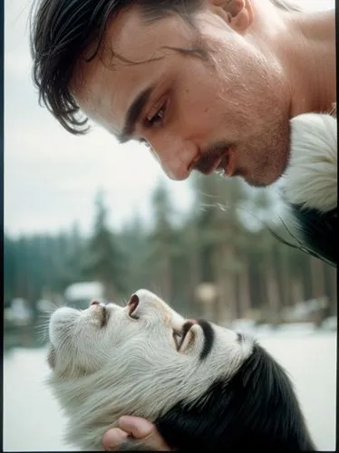 sifaka,tamaskan dog,freddie mercury,human and animal,canadian eskimo dog,colobus,seppala siberian sleddog,laika,wolf couple,eurythmics,sled dog,wolf's milk,papillon,gibbon,white bear,zookeeper,russo-e