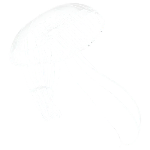 volumetric,neomordellistena,png transparent,orb,glsl,jellyfish,transparent image,butterflyer,zooplankton,wavevector,deformations,parasol,eagle vector,scrapped,parachute fly,parachute,funjet,veil,hyperspace,ikaruga,Art,Artistic Painting,Artistic Painting 50