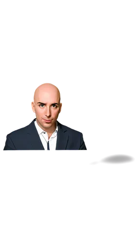 molyneux,lenderman,kashkari,otaiba,cerveris,kornstein,oppenheimer,minniti,klauer,jonjo,ebdon,rezko,baldi,fadi,blankfein,bigeard,thalheimer,baldacci,mosaddegh,balsillie,Illustration,Vector,Vector 04