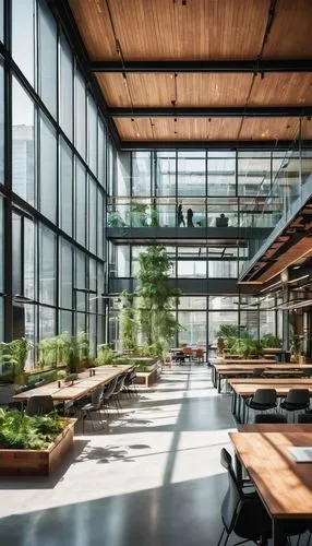 wintergarden,atriums,gensler,schulich,modern office,bobst,daylighting,snohetta,school design,atrium,offices,bridgepoint,packinghouse,epfl,headquaters,bureaux,bohlin,genzyme,ecolab,lunchroom,Illustration,Realistic Fantasy,Realistic Fantasy 45