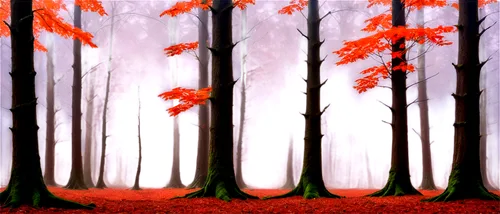 autumn forest,autumn background,forest background,deciduous forest,autumn trees,cartoon video game background,cartoon forest,beech trees,forest landscape,background vector,mixed forest,forest,fir forest,coniferous forest,tree grove,birch forest,forests,autumn scenery,nature background,forest glade,Photography,Fashion Photography,Fashion Photography 25