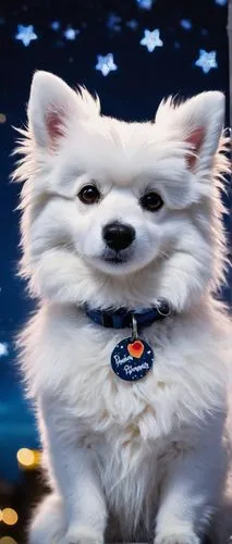 dogecoin,indian spitz,maltese,samoyed,german spitz klein,american eskimo dog,pomeranian,vote,bichon frisé,dog angel,service dog,patriot,mayor,dog,german spitz mittel,vigilant dog,patriotism,canadian eskimo dog,white dog,japanese spitz,Conceptual Art,Graffiti Art,Graffiti Art 07