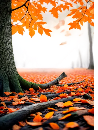 autumn background,autumn frame,autumn forest,autumn scenery,autumn tree,autumn theme,autumn leaves,autumn round,round autumn frame,autumn walk,autumn trees,fallen leaves,just autumn,autumn landscape,autumn,autumn day,fall landscape,autumn idyll,3d background,leaf background,Art,Artistic Painting,Artistic Painting 29