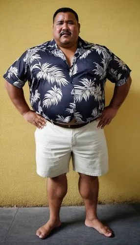 costa rican colon,pandero jarocho,panamanian balboa,cholado,sumo wrestler,bizcochito,mexican,el boliche,latino,zunzuncito,kapparis,fatayer,panucho,fat,keto,el golfo,bermuda shorts,hotel man,bavaro,plus-size model,Photography,General,Realistic