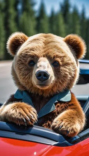 nordic bear,bear teddy,buffalo plaid bear,scandia bear,zagreb auto show 2018,audi cabriolet,cute bear,auto show zagreb 2018,bear,3d car wallpaper,3d teddy,automobile hood ornament,bear market,3d car model,automotive decor,brown bear,kodiak bear,saab 9-4x,hood ornament,car model,Photography,General,Realistic