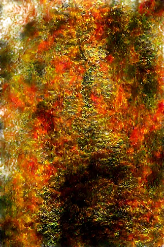 watercolour texture,tree texture,color texture,brakhage,textile,palimpsest,tapestry,fibers,impasto,burning tree trunk,impressionistic,underlayer,fabric texture,palimpsests,autumn frame,carpet,felted,felted and stitched,chameleon abstract,degenerative,Conceptual Art,Daily,Daily 03