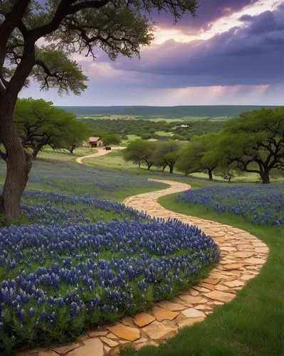 Landscape architecture, Texas hill country, vast open spaces, rolling hills, bluebonnets in bloom, oak trees with sprawling canopies, meandering stone walkways, rustic wooden fences, modern ranch-styl