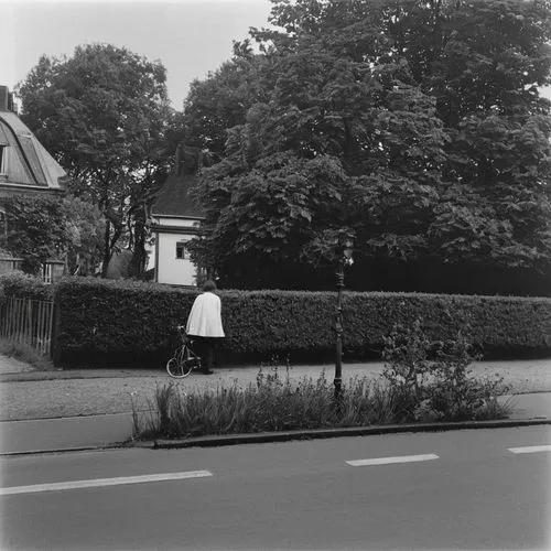 lubitel 2,kleinbild film,doisneau,rollei,ohlsen,brassai,Photography,Black and white photography,Black and White Photography 03