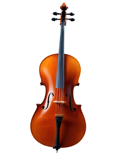 violoncello,violino,stradivari,violin,violon,violito,stradivarius,guarneri,cello,violist,stringed bowed instrument,violin neck,violons,violins,bowed instrument,violinist,string instruments,violin player,concertmaster,stringed instrument,Conceptual Art,Daily,Daily 13