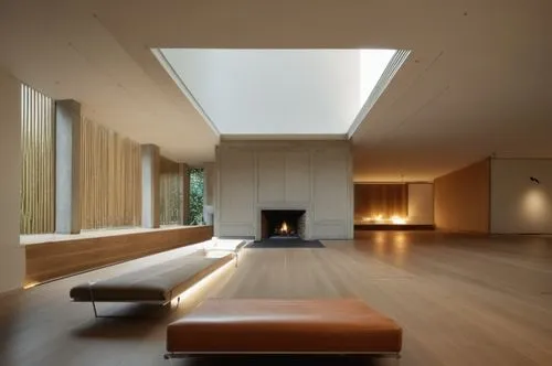 wood floor,hardwood floors,wooden floor,wood flooring,interior modern design,fire place,modern room,archidaily,californian white oak,fireplaces,living room,concrete ceiling,livingroom,modern living room,home interior,dunes house,interior design,interiors,luxury home interior,fireplace,Photography,General,Realistic