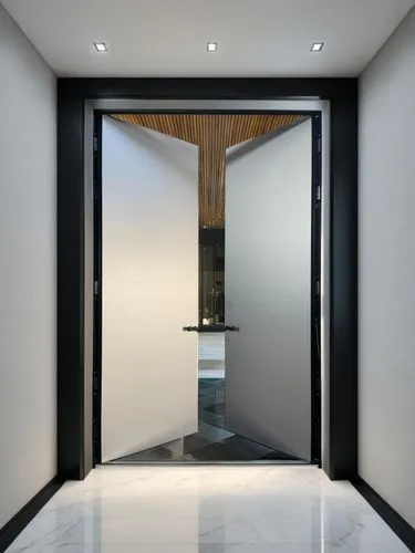 metallic door,hinged doors,room door,steel door,associati,the threshold of the house,recessed,door trim,hallway space,wooden door,interior modern design,doorway,doorways,doorframe,architraves,entryway,entryways,levator,open door,entranceways