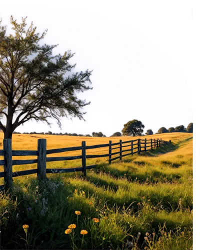 pasture fence,fence posts,fenceline,pastures,ranchland,paddocks,orangefield,antietam,fenceposts,white picket fence,pasture,fences,grasslands,pastureland,grassland,grassfields,country side,hayfields,countrified,southfork,Art,Artistic Painting,Artistic Painting 33