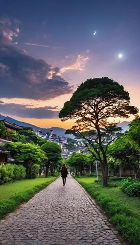 japan landscape,kyoto,gyeongju,the japanese tree,beautiful japan,south korea,japan garden,tree lined path,nara prefecture,japan,japanese garden,skorean,koreana,jeju island,kinkakuji temple,gyeongbok palace,landscape background,korean folk village,nara park,korea,Photography,General,Realistic