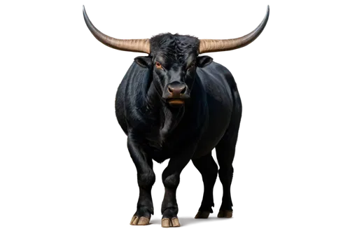 taurus,tribal bull,tanox,cape buffalo,bull,carabao,bos taurus,horoscope taurus,gnu,the zodiac sign taurus,minotaur,kulundu,gnus,ox,african buffalo,gaur,bulls,bullrun,buffalo,aurochs,Art,Artistic Painting,Artistic Painting 30