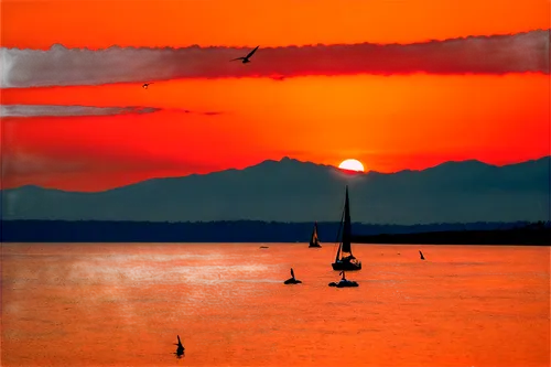 Warm sunset, vast ocean, calm waves, golden light, vibrant orange sky, few seagulls flying, sailboat in distance, gentle sea breeze, soft focus, 1/3 composition, warm color tone, cinematic lighting.,b