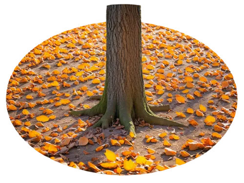 penny tree,autumn tree,meditrust,fallen acorn,tree torch,tangerine tree,flourishing tree,conker tree,tulip tree,deciduous tree,argan tree,burning tree trunk,seasonal tree,jaggery tree,dead vlei,pookkalam,persimmon tree,autuori,cinema 4d,stereographic,Illustration,Realistic Fantasy,Realistic Fantasy 30