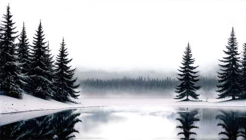 winter background,winter lake,winter forest,coniferous forest,boreal,snow landscape,spruce forest,snowy landscape,winter landscape,christmas snowy background,nature background,snowfield,alpine lake,forest lake,glacial lake,frozen lake,snowfields,virtual landscape,salt meadow landscape,landscape background,Illustration,Black and White,Black and White 26