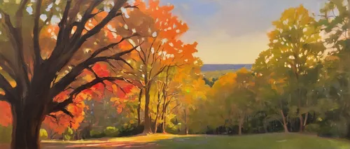 autumn landscape,fall landscape,autumn trees,autumn scenery,autumn light,fall foliage,one autumn afternoon,trees in the fall,autumn tree,the trees in the fall,autumn idyll,late autumn,autumn sunshine,autumn forest,birch alley,autumn in the park,autumn background,row of trees,autumn colouring,autumn day,Illustration,Realistic Fantasy,Realistic Fantasy 37