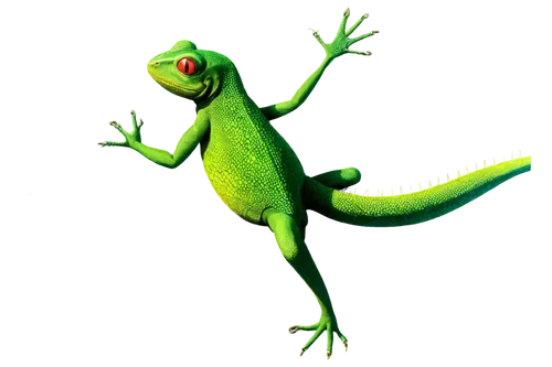 1. Lizard,patrol,emerald lizard,gex,green lizard,basiliscus,aaaa,day gecko,frog background,wonder gecko,pasquel,phelsuma,agamid,gekko,energex,lagarto,basilisks,aaa,greenie,gecko,gieco,Conceptual Art,S