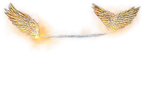 car badge,wings,hindwings,winged,wing,angel wing,bird wings,bird wing,winged heart,wingbeats,delta wings,firebirds,angel wings,firebird,halos,automobile hood ornament,maseratis,daimlerchrysler,benfica,uniphoenix,Photography,Fashion Photography,Fashion Photography 08